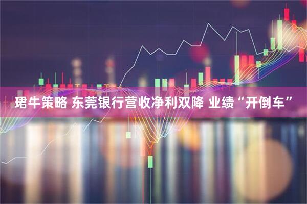 珺牛策略 东莞银行营收净利双降 业绩“开倒车”