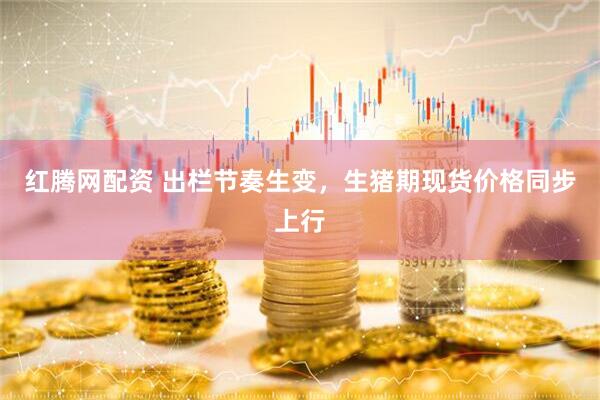 红腾网配资 出栏节奏生变，生猪期现货价格同步上行