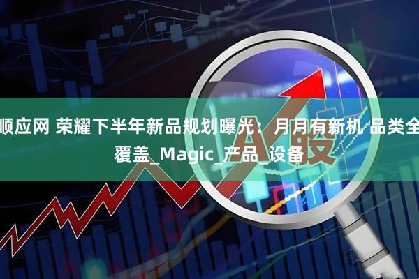 顺应网 荣耀下半年新品规划曝光：月月有新机 品类全覆盖_Magic_产品_设备