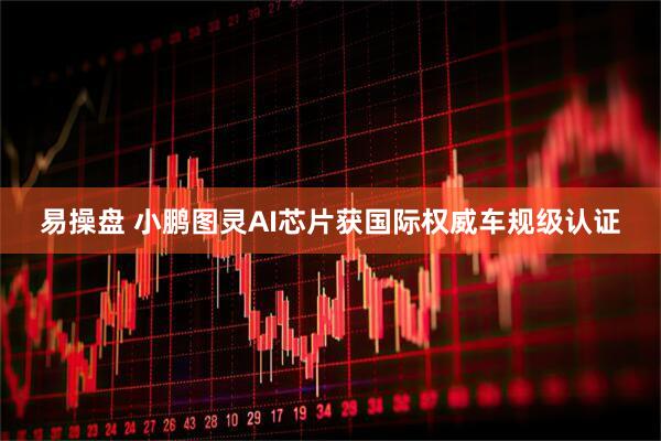 易操盘 小鹏图灵AI芯片获国际权威车规级认证