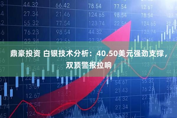鼎豪投资 白银技术分析：40.50美元强劲支撑，双顶警报拉响